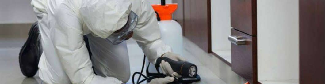 Εντομολόγος Pest Control